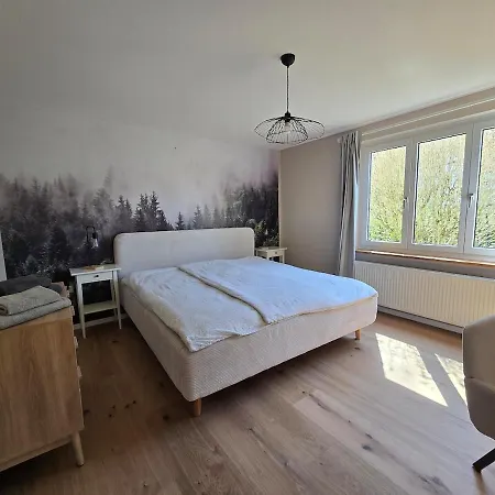 Charmante 3-schlafzimmer Mit Garten Lörrach