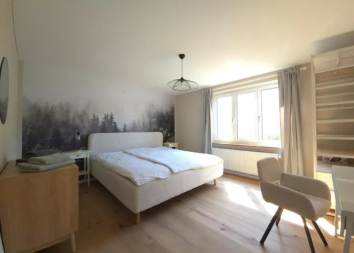 Charmante 3-schlafzimmer Mit Garten Appartement Lörrach