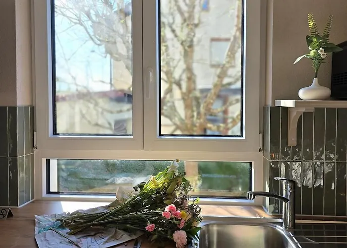 Charmante 3-schlafzimmer Mit Garten Appartement Lörrach